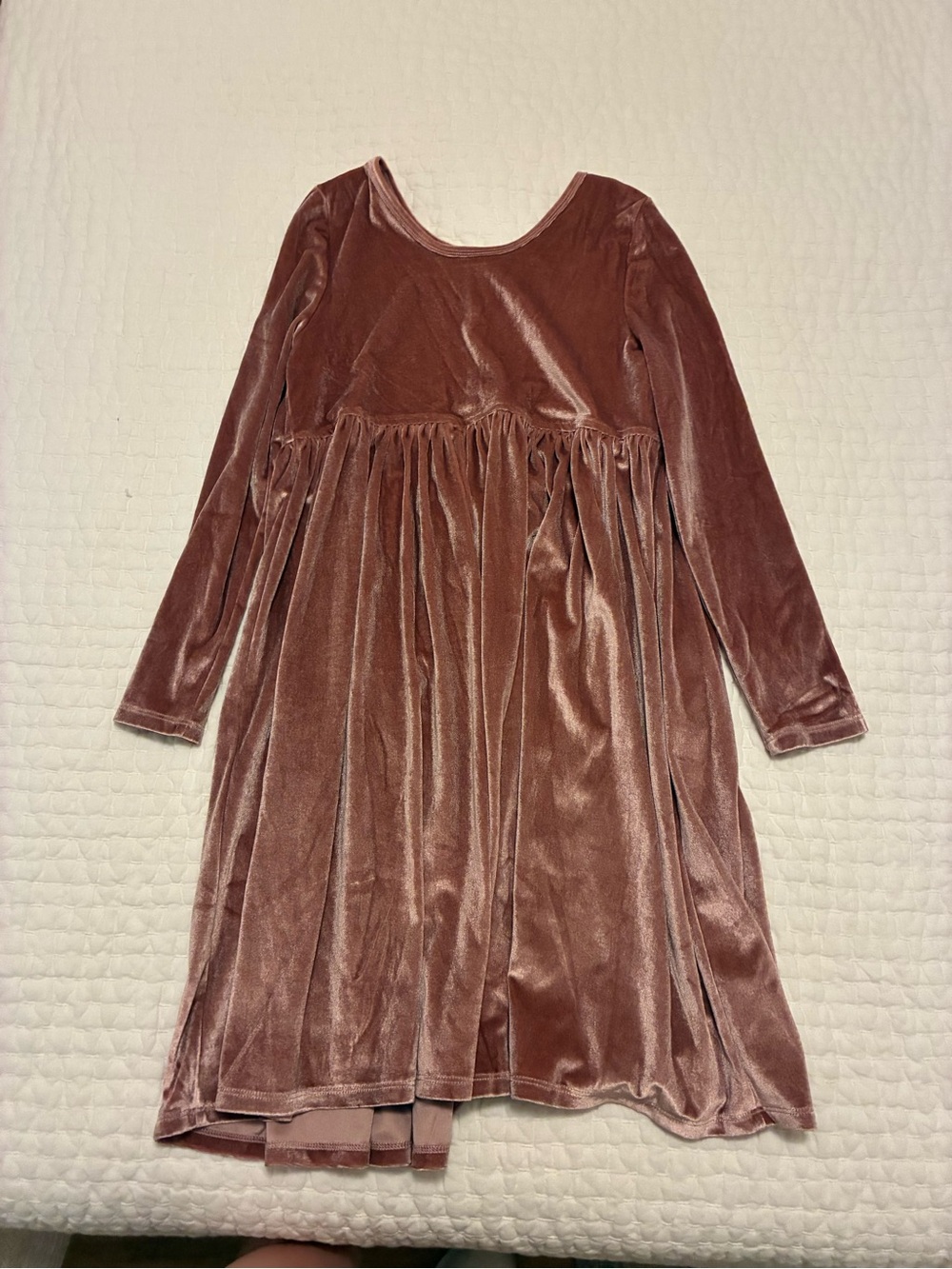 Pink Chicken Rose Pink Velvet Dress - Picture 2 of 3